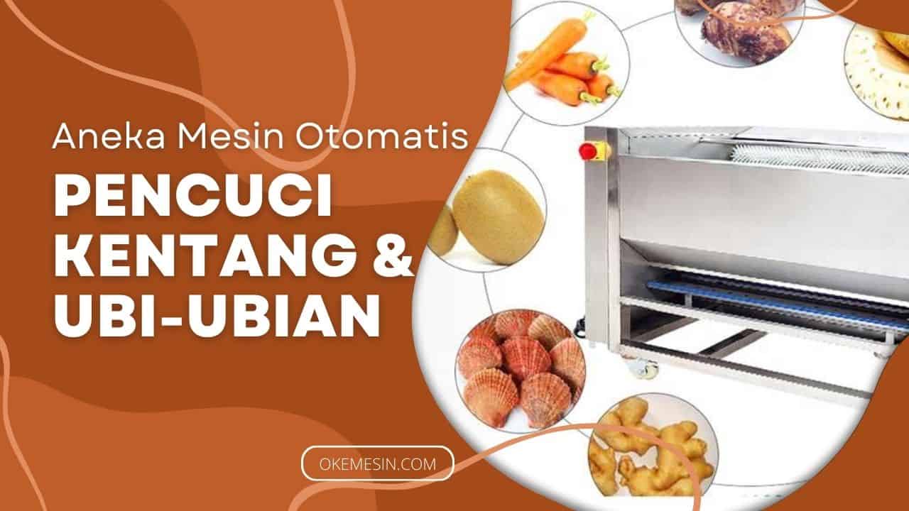 Mesin Pencuci Kentang Otomatis Solusi Modern untuk Efisiensi dan Kebersihan